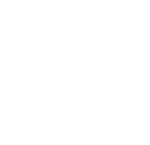Logo Altera - białe